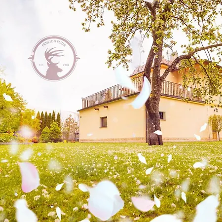 Flidr Guest house Podebrady