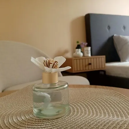 Flidr Guest house *